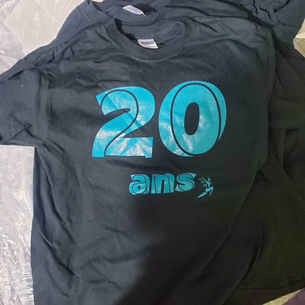 20 years lot of 5 t-shirt gildan M brand new